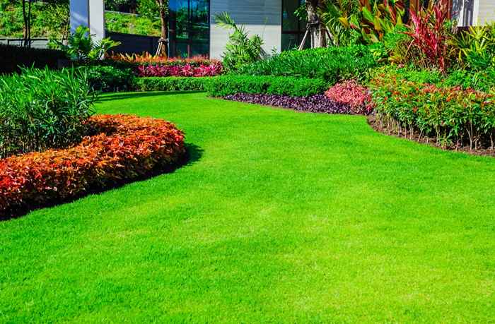5 dicas de limpeza de primavera para preparar seu gramado para os convidados