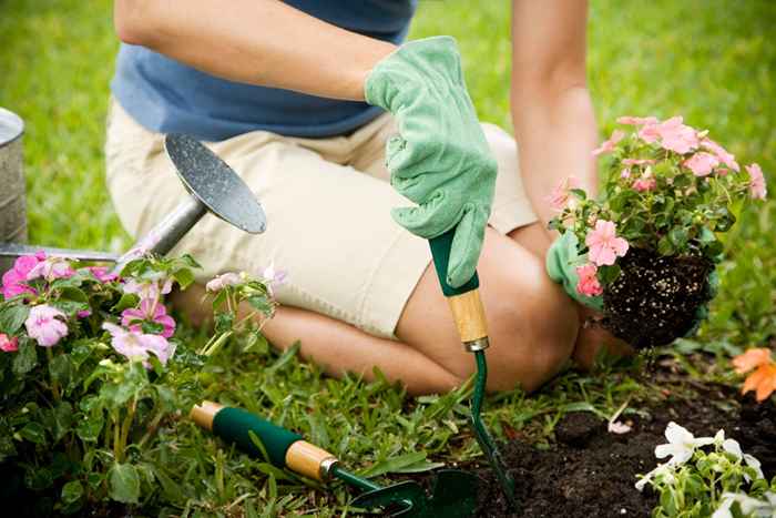 Come il giardinaggio può tagliare il rischio di cancro, secondo un nuovo studio