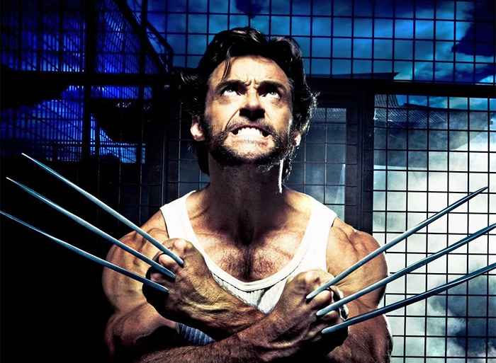 Hugh Jackman gab gerade zu, dass er noch nie von einem Wolverine gehört hat und versuchte, einen Wolf zu spielen