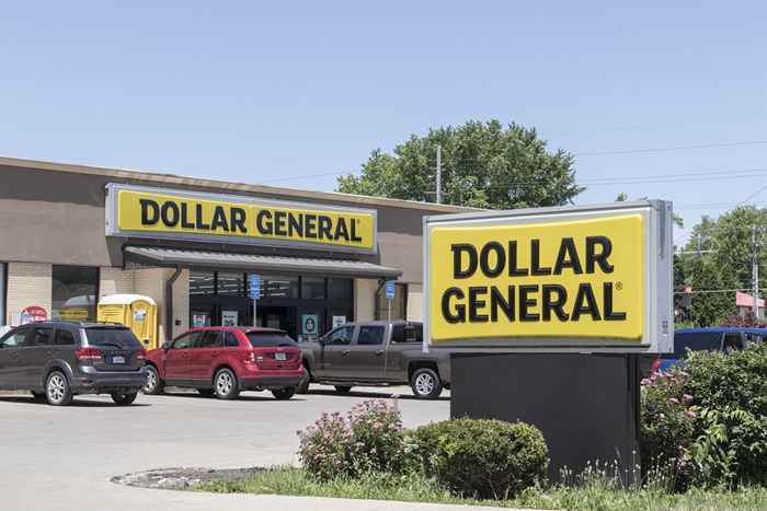 Ross, Dollar General e Michaels rivelano principali piani di espansione per gli acquirenti