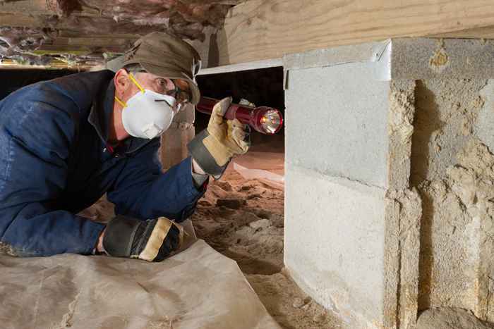 Termite Swarms zaczynają się na początku tego roku, w jaki sposób chronić swój dom