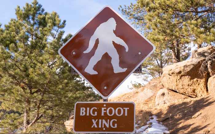 Die 5 Staaten, in denen Sie Bigfoot am wahrscheinlichsten sehen, zeigen neue Daten