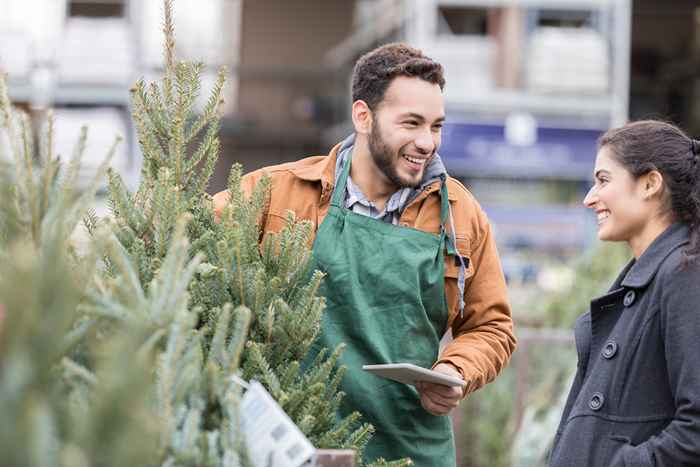 7 secretos que los vendedores de árboles de Navidad no quieren que sepas