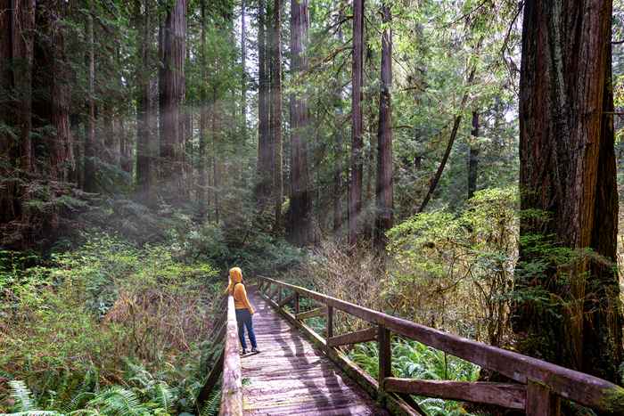 9 u.S. Nationalparks, die immer frei zu besuchen können