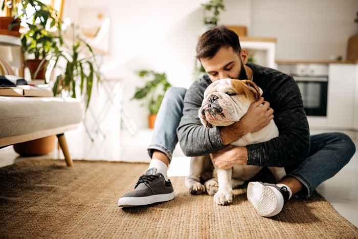 Os cães choram de alegria quando seus proprietários voltam para casa, novo estudo revela