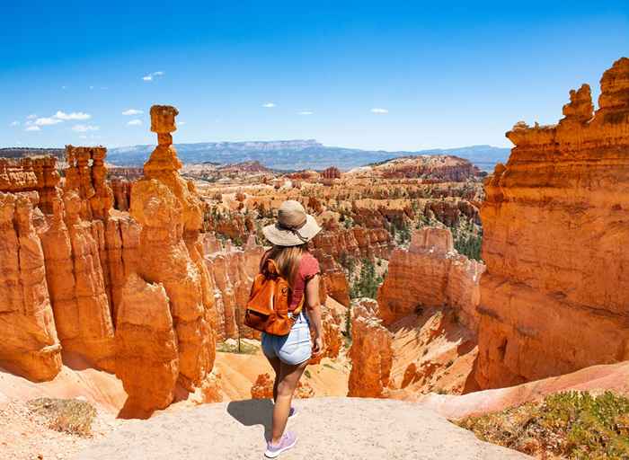 Der National Park Service hat eine Warnung für Besucher, die dies berühren, die Sie krank machen können