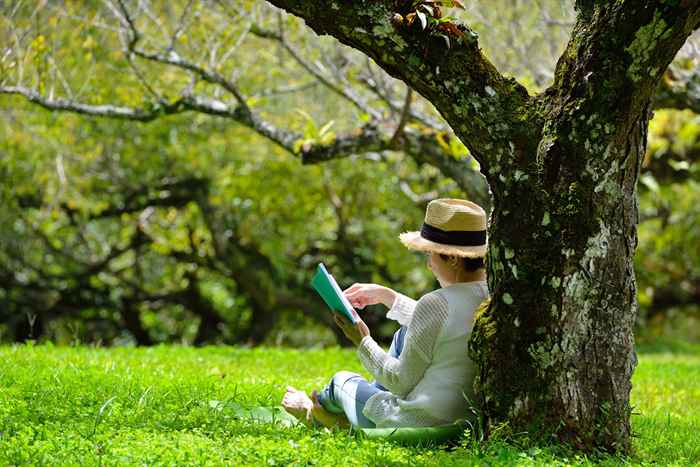 Non sederti mai sotto un albero se ne noti, avvertono gli esperti