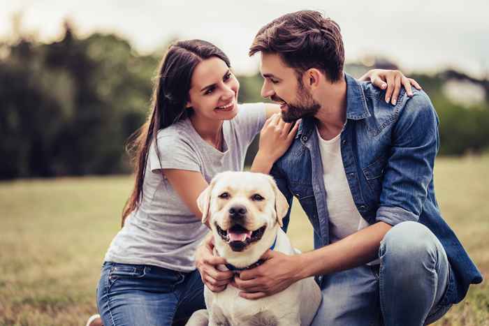 Les personnes avec ces 6 races de chiens font les meilleurs partenaires romantiques