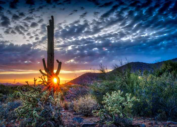 Le 10 migliori città del deserto nella U.S. Dovrebbe essere nella tua lista dei desideri