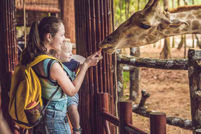 I 10 migliori zoo nella u.S. da aggiungere alla tua lista dei desideri