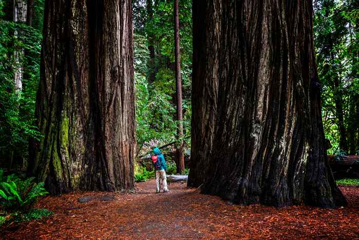 Os 11 melhores você.S. Parques estaduais para caminhadas