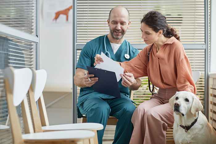 Los 5 errores más grandes que cometen los perros en el veterinario