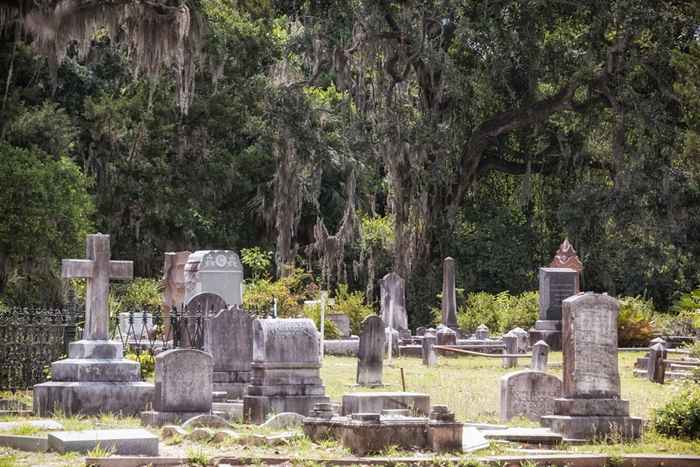 Il 6 migliore u.S Cities for Spooky Fall DIVERS