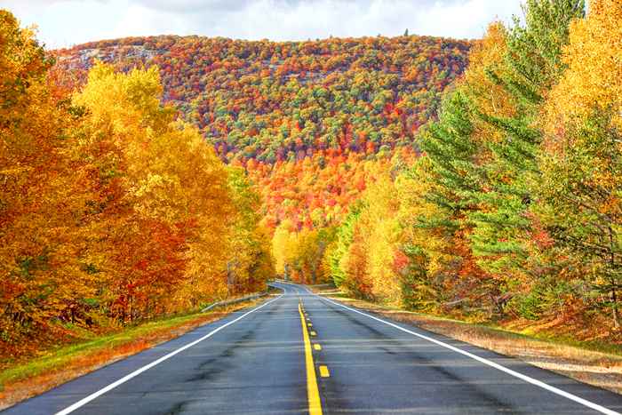 Los 9 mejores viajes por carretera en la U.S. Para ver el follaje de otoño