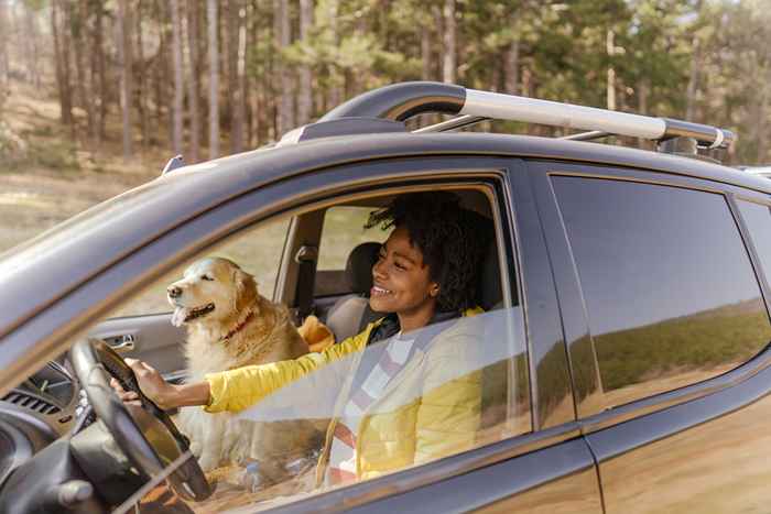 La voiture que vous devez conduire, en fonction de votre signe du zodiaque