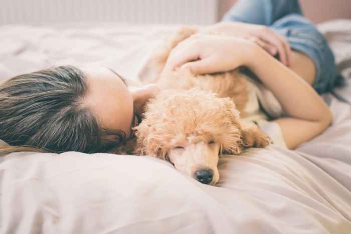 Der versteckte Grund, warum Sie Ihren Hund nicht auf Ihrem Bett schlafen lassen sollten