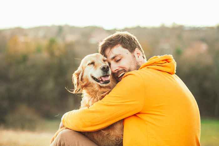 La façon surprenante des chiens trouvent le chemin du retour, selon les experts