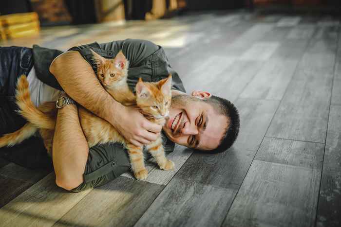 Dieses Tierkreiszeichen macht laut Astrologen den besten Katzenbesitzer