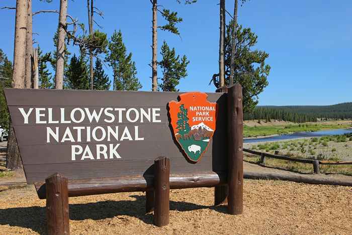 Les Rangers du parc national de Yellowstone exhortent la prudence près de cette menace imprévisible