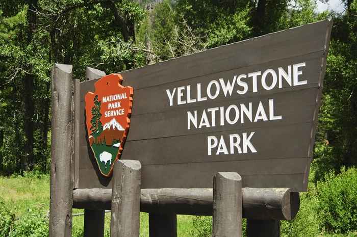 O Parque Nacional de Yellowstone finalmente permitirá que os visitantes façam isso, começando agora