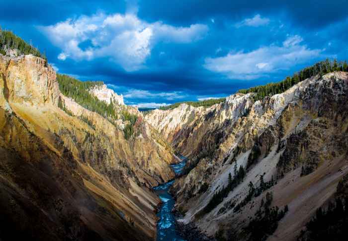 O Parque Nacional de Yellowstone não deixa os visitantes fazer isso, a partir de terça -feira