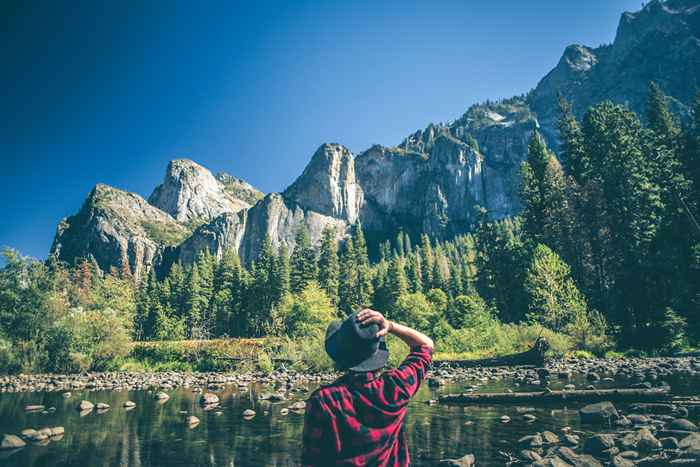 Beamte des Yosemite -Nationalparks sagen, wenn Sie dies hören, gehen Sie schnell aus der Gegend weg