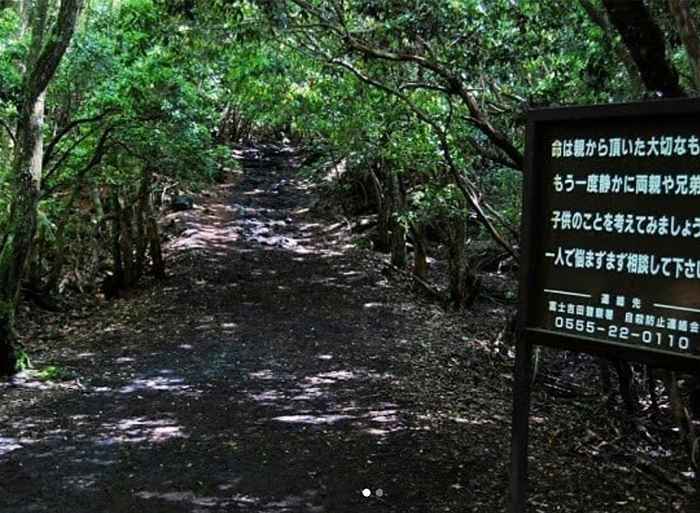 33 hechos sobre el bosque suicida de Japón que te asustarán