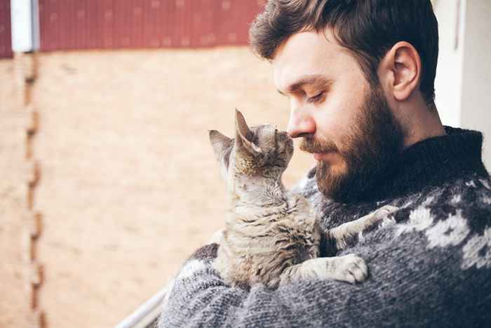 14 façons surprenantes que votre chat montre l'affection