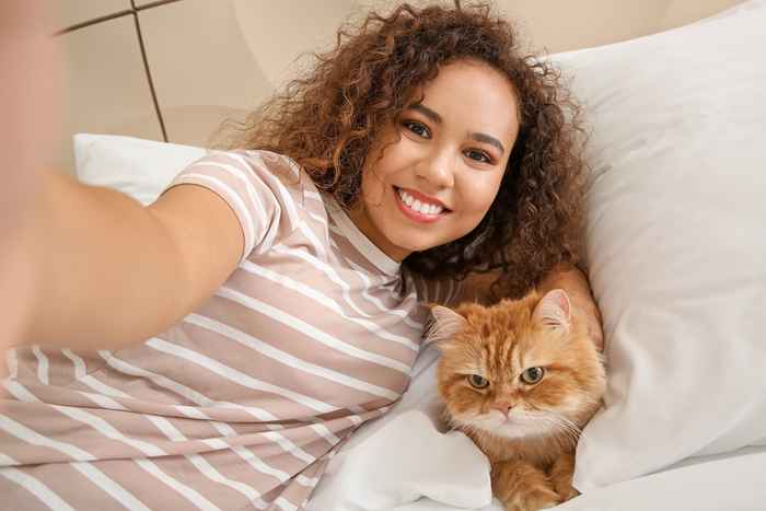 15 razões pelas quais os gatos são muito melhores que os cães