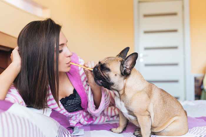 Hier ist der Grund, warum Sie mit Ihrem Hund sprechen sollten, als wäre es ein Baby