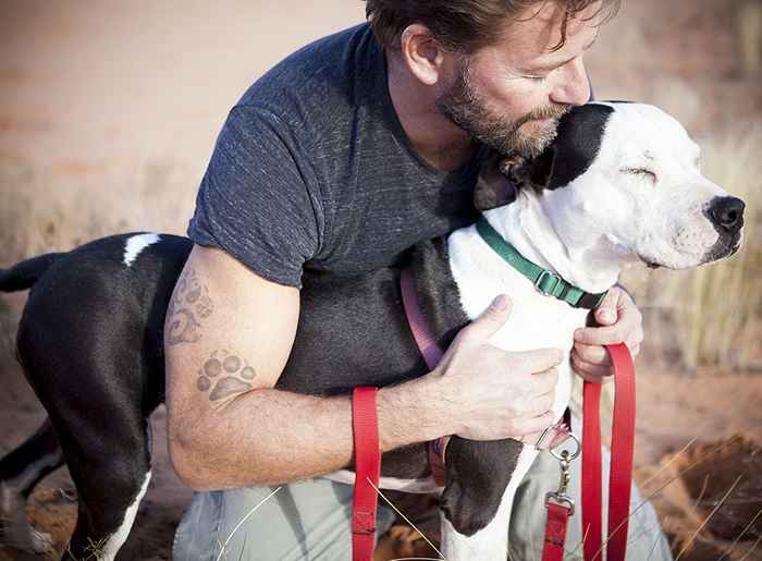 Tu n'as pas besoin d'un psy - tu as besoin d'un jack russell terrier