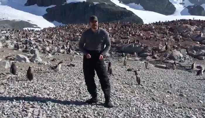 Aqui está o hilário vídeo de David Harbor Dancing com pinguins na Antártica