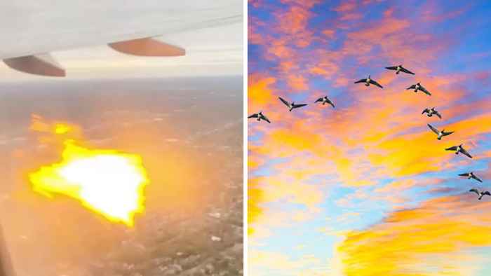 Le jet de passagers obligé de faire un atterrissage d'urgence après la grève des oiseaux provoque un incendie