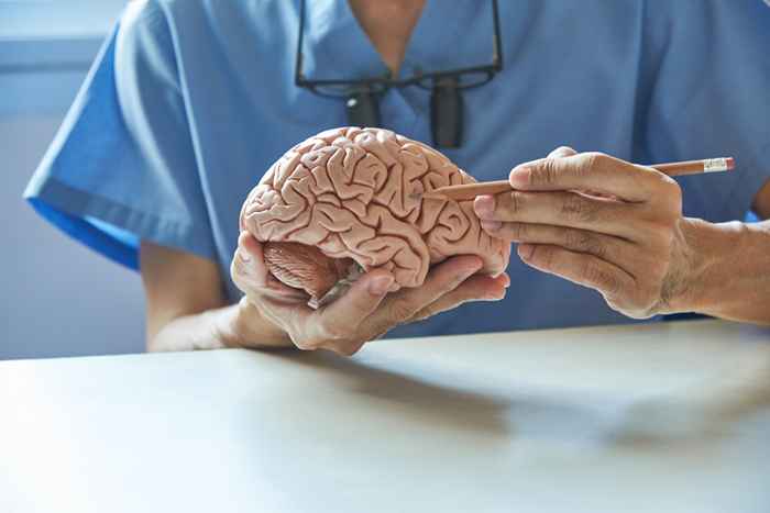 4 façons dont votre intestin affecte votre cerveau, selon les médecins