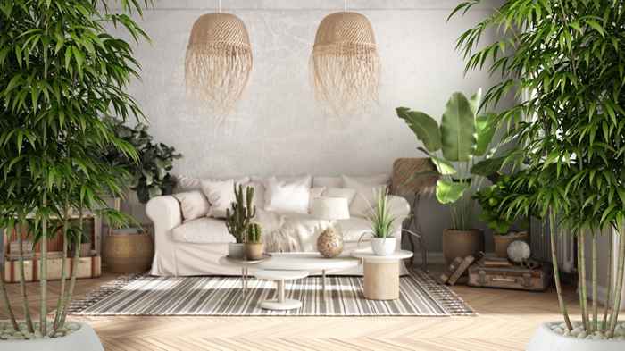 6 cosas que los expertos en feng shui quieren que tiraras ahora mismo