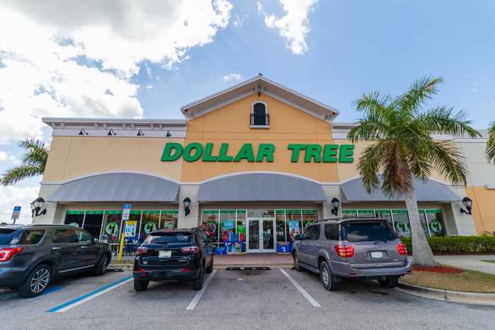 Dollar Tree está sob fogo por essas principais controvérsias