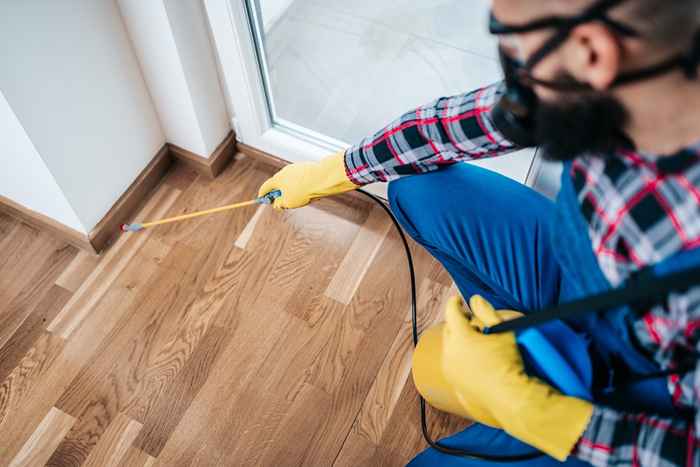 Wenn Sie diesen Fehler in Ihrem Zuhause sehen, rufen Sie sofort einen Exterminator an