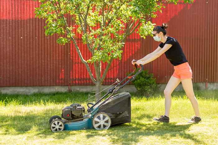 Wenn Sie dies in Ihrem Garten sehen, mähen Sie nicht ohne Maske und Handschuhe