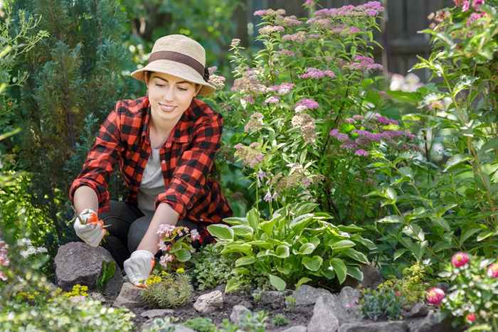 Si vous voyez cette plante dans votre cour, retirez-la maintenant, les experts avertissent