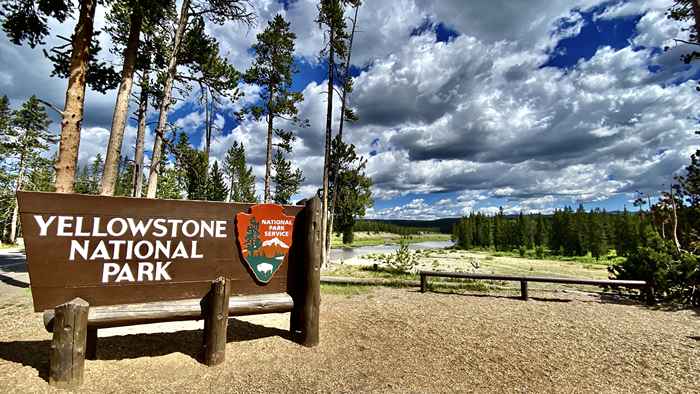 Se você estiver indo para Yellowstone, verifique seu carro para este primeiro, as autoridades alertam