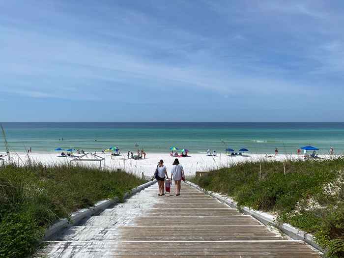 Les responsables avertissent les amateurs de plage de faire attention à cette menace sans précédent