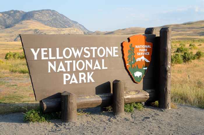 O clima severo mudou o parque nacional de Yellowstone para sempre como