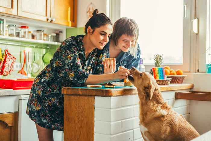 El perro que deberías tener en función de tu signo del zodiaco