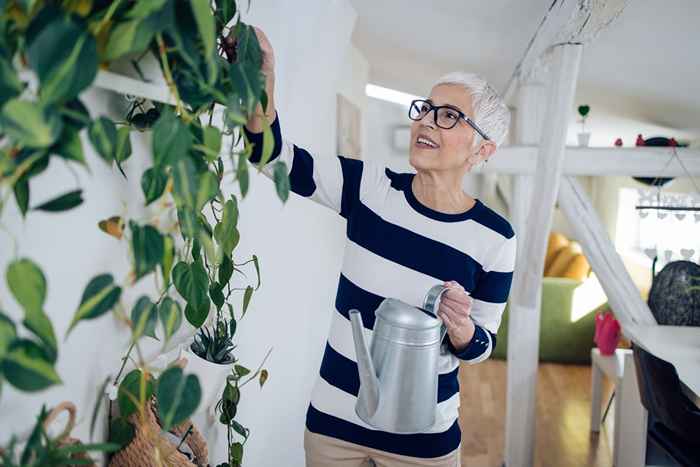 De farligste plantene å oppbevare i huset ditt