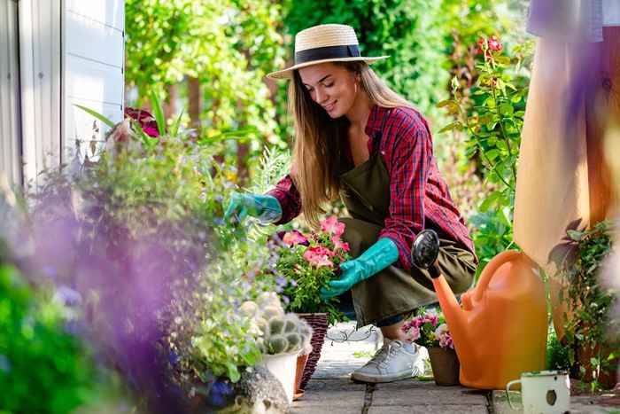 Esta especia común evitará que sus plantas mueran