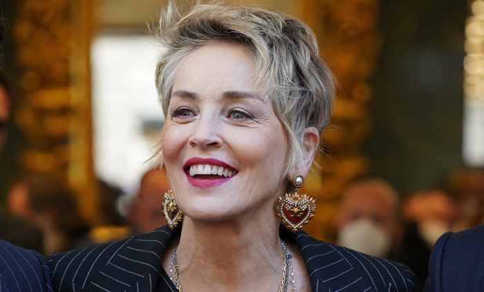 Denne TV -stjernen sier at Sharon Stone slo henne uten forvarsel