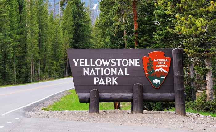 Der Yellowstone -Nationalpark lässt die Besucher dies nicht mehr tun