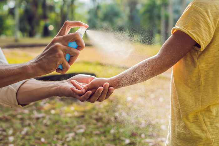 Ihr Insektenspray funktioniert nicht an diesem gefürchteten Insekt, findet neue Studien fest