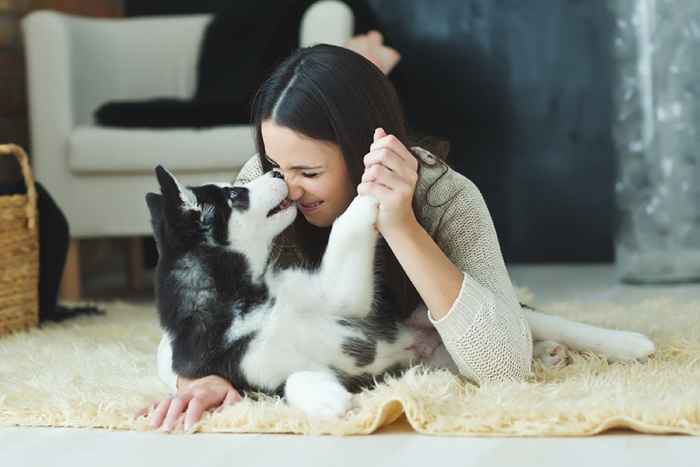 8 Möglichkeiten, einen Hund zu haben, kann Ihr Leben laut Wissenschaft retten