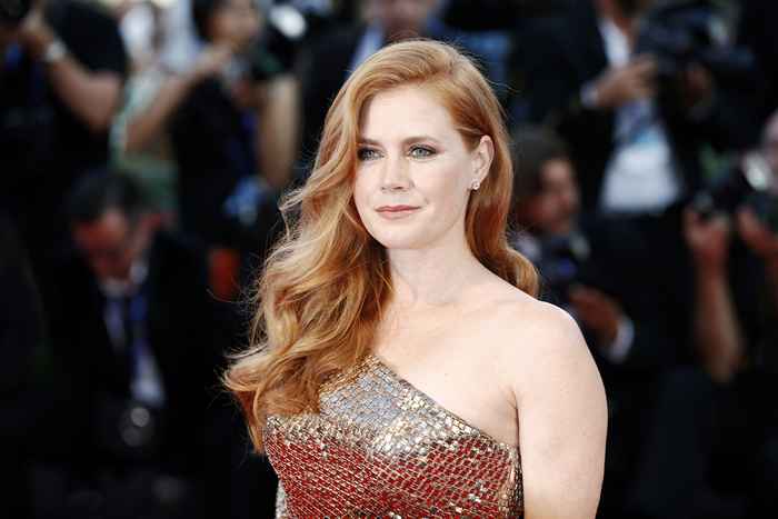 Amy Adams hat gerade ein sehr seltenes Foto ihres einzigen Kindes geteilt